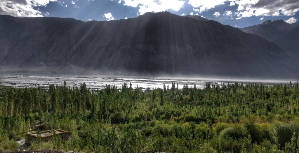 Travel Teaches: The Promise of Life