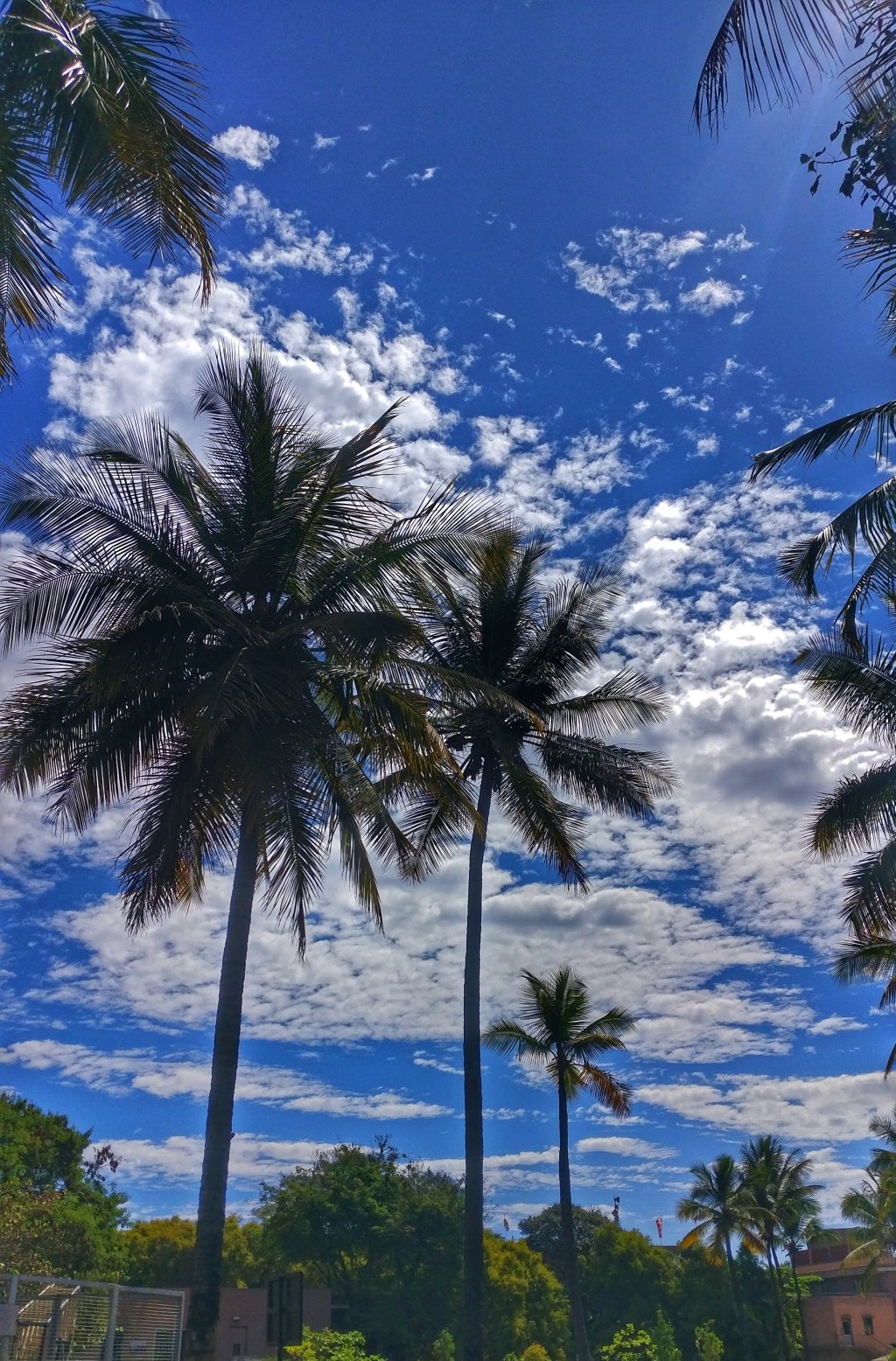 Travel Teaches: Inspirations Lies Everywhere