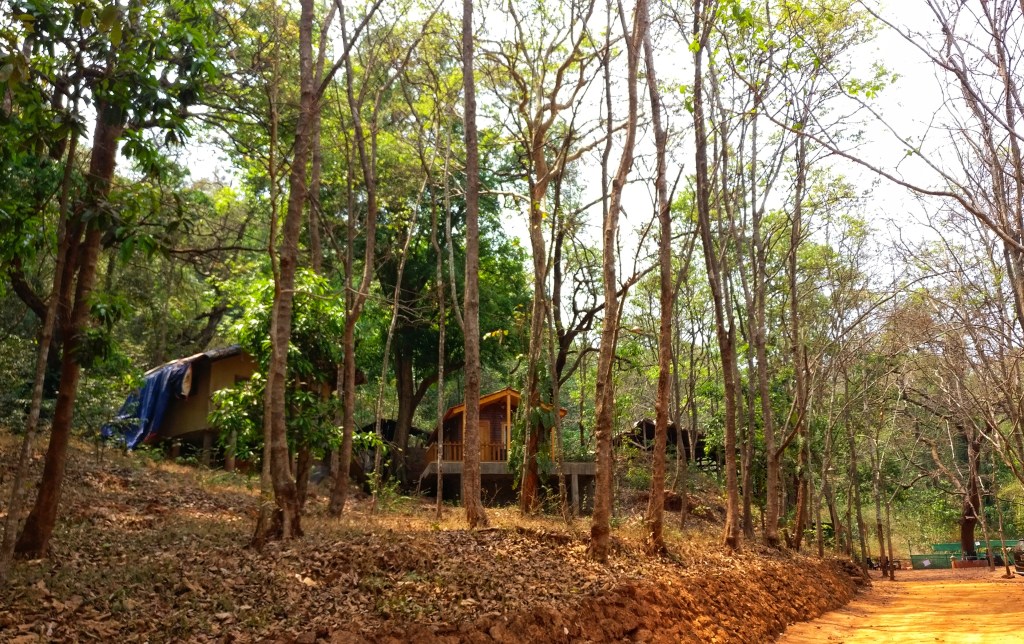 Property Review: Old Magazine House, Ganeshgudi, Dandeli