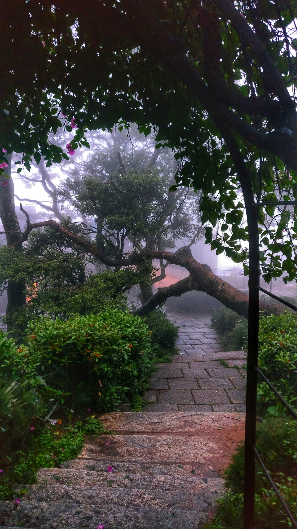 Rantings of a Rainy Afternoon